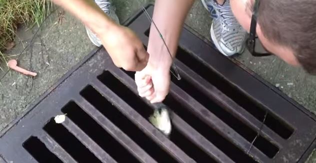 Sewer Bass Fishing 2 - Hook A Bass